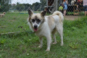 10574472_316032081899878_4094846657508715193_n