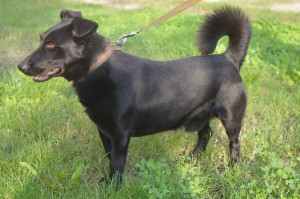 10295390_336397766529976_1661175026086074944_o