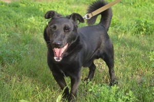 10450251_336398193196600_6296435267942924555_o