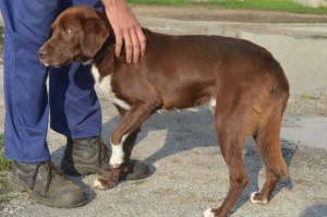 10531471_336406813195738_7092091631547725060_o