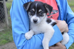 10543594_331756343660785_2366580080207675019_o