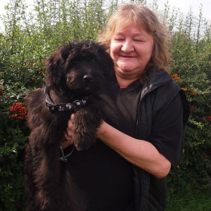 10615582_334636823372737_9068189203993856307_n