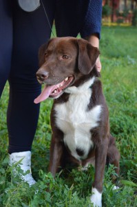 10620357_346220885547664_5407106841127718482_o