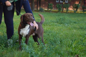 10631193_346220612214358_2829073879970768342_o