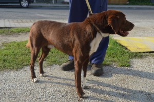 10644494_336406756529077_3327290437151939607_o