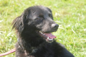 10644784_336409639862122_2029961788059004718_o