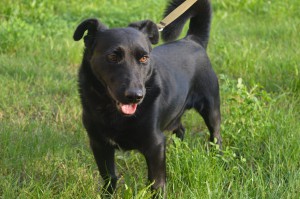 10688308_336398549863231_4912718106779098224_o