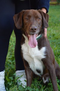 10704323_346221118880974_6984390362068481559_o