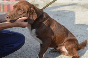 10710253_336405879862498_7208997223795658078_o