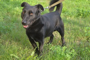 10710268_336398299863256_3832400787094720715_o