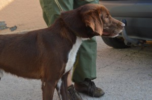 10712462_336404969862589_1248620023370498825_o