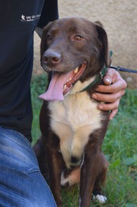 1490618_346221552214264_9112402567105125182_o