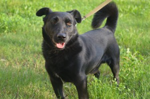 1782342_336398406529912_1075644819140989625_o