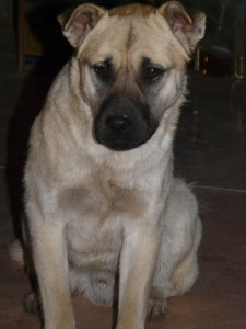 19520_403884783114607_1562773655436265603_n