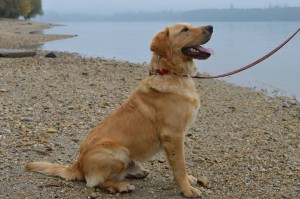 10688125_345737845595968_3328815449092114085_o