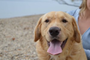 10710248_345737598929326_7982370628340660141_o