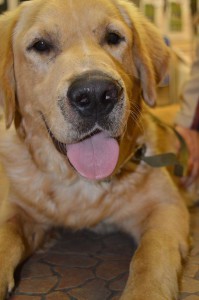 10710456_343457902490629_1695935342658794150_o