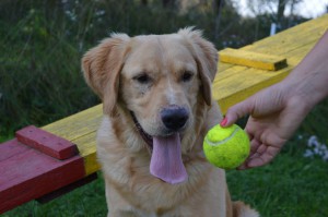 10712475_346224138880672_6859656010593423569_o