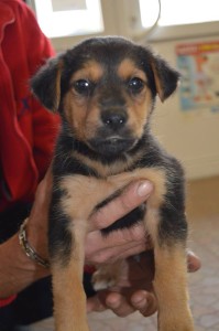 10387306_353254471510972_5060133884037207161_n