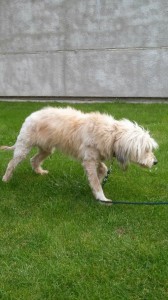 10470190_355452304624522_8780507705015339021_n