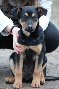 10392594_387568758079543_7643962306691154161_n