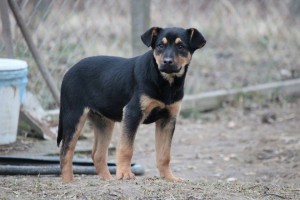 10940477_387569138079505_8862954414229383266_n