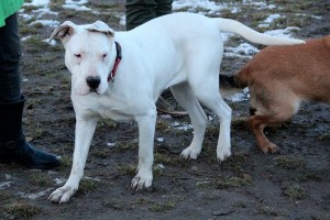 10378250_393219694181116_5772196521780958833_n