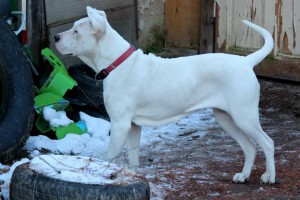 10430408_393219390847813_3799687278552626696_n