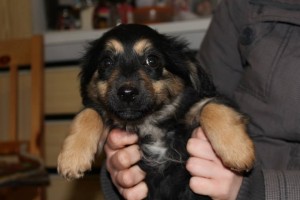 10438128_392112720958480_5911782917825690373_n