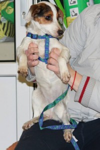 10906412_395214033981682_6409683552708270210_n