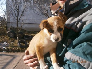 10930948_395577613945324_4492615304041509680_n