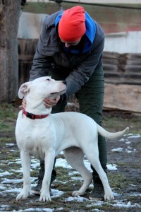 10953180_393219474181138_5756380454370284480_n