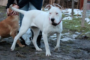 10959308_393219564181129_6928326079052369863_n