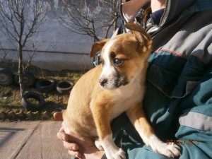 156077_395577670611985_1827707918336961938_n