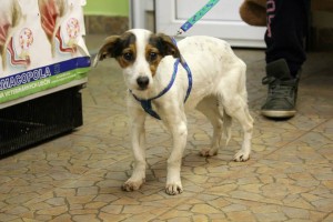 1654198_395214100648342_3275976761321601546_n