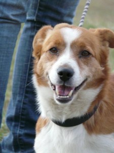 10305063_413153772187708_5185869978292962315_n