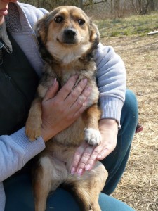 10408656_415394135297005_3029147284525484924_n