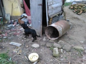 10478216_387190351450717_6961661690490217165_n