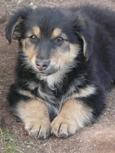 10488232_409452949224457_6983002248831764436_n