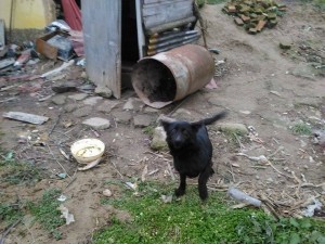 10491248_387190354784050_1613367173514979931_n