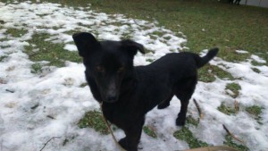 11044570_403347686501650_3109202613435858859_n