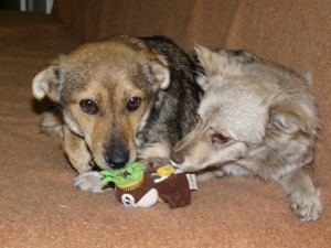 13174_409472965889122_6985620258280801917_n