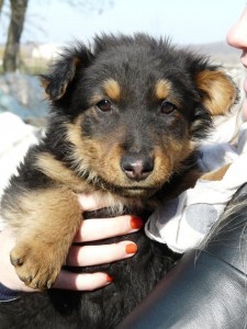 13519_409453825891036_3367090140407700172_n