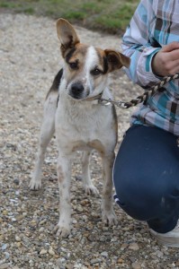 10394119_424139264422492_1285614767540443162_n