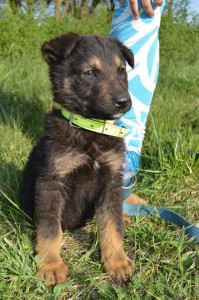 10530778_431207133715705_6018001707897212807_n