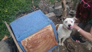 11119098_430451783791240_4690037130599388600_n