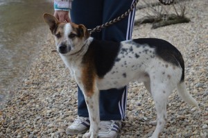 11137145_424139504422468_308784551500658733_n