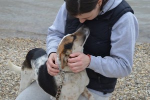 11137172_424139321089153_4670113521524624135_n