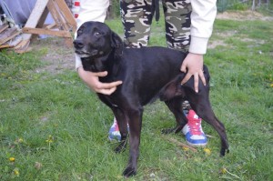 11149431_431188717050880_7162120903023599399_n