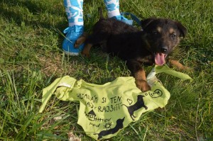 11156401_431207120382373_1561911588631729230_n